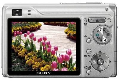 Sony DSC-W200 12.1MP Digital Camera