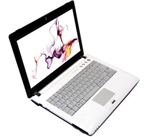 Clevo M721S / M720S Notebook PCs