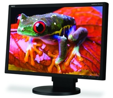 NEC MultiSync EA221WM LCD monitor