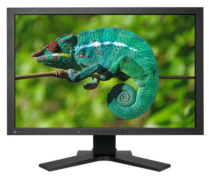 Eizo ColorEdge CG242W LCD Display has DispayPort