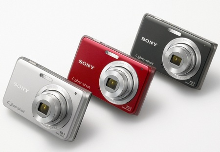 Sony Cyber-Shot W180 Digital Camera