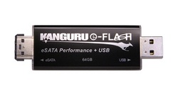 Kanguru e-Flash 64GB eSATA + USB Flash Drive