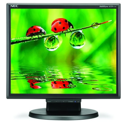 NEC MultiSync LCD175M 17-inch LCD Display