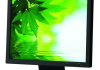 NEC AccuSync AS171 Eco-Friendly LCD Display