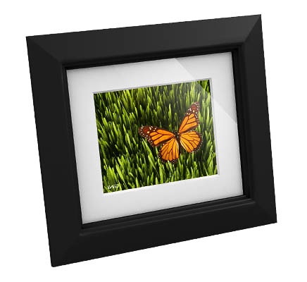 GiiNii Artforme and Tech 8-inch Digital Photo Frames