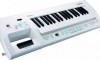 Roland Lucina AX-09 Synthesizer