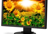 NEC MultiSync E201W Enterprise Desktop LCD Monitor