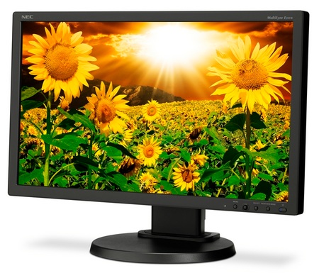 NEC MultiSync E201W Enterprise Desktop LCD Monitor