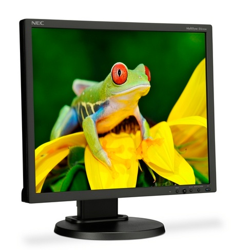 NEC MultiSync EA192M Enterprise Desktop LCD Monitor