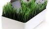 ThinkGeek Grassy Lawn Charging Station