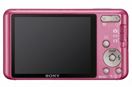 Sony Cyber-shot DSC-W570 digital camera back