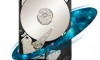 Seagate Constellation ES.2 High Capacity Enterprise Hard Drive