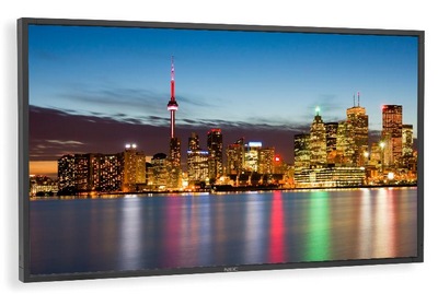 NEC P402 Professional-grade Large-Screen Display