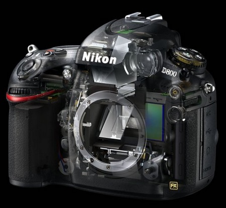 Nikon D800 and D800E 36.3 Megapixel FX-Format DSLRs skeleton