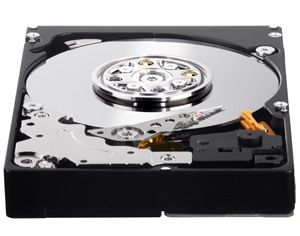 Western Digital S25 3rd Generation SAS Hard Drive 1