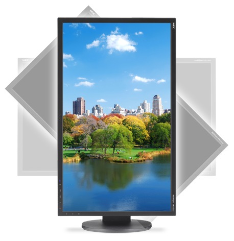 NEC MultiSync EA223WM LED-backlit Display for Enterprise