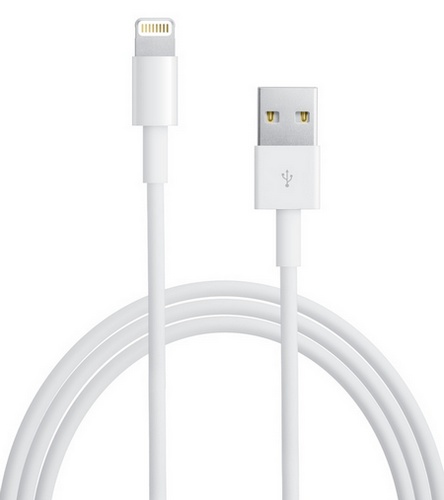 Apple Lightning USB cable