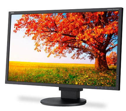 NEC MultiSync EA224WMi IPS Enterprise Desktop Monitor