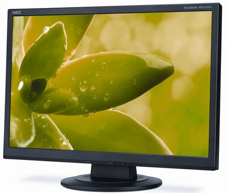 NEC AccuSync AS192WM LED-backlit Display