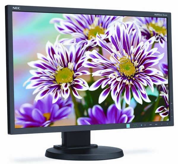 NEC MultiSync E223W Budget Business Monitor angle