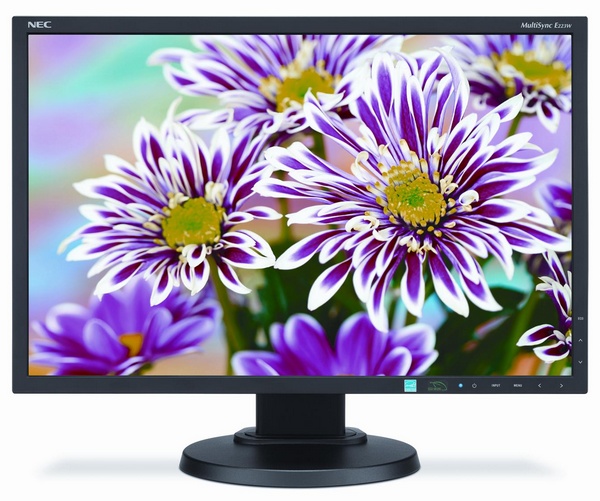 NEC MultiSync E223W Budget Business Monitor front