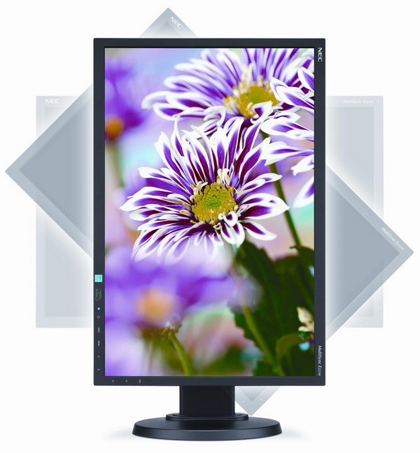 NEC MultiSync E223W Budget Business Monitor swivel